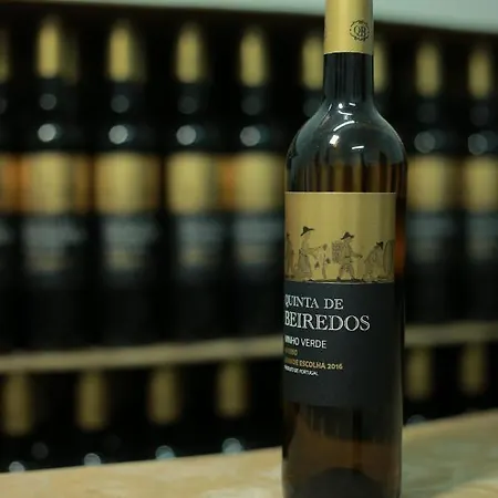 Σπίτι διακοπών Quinta De Beiredos *